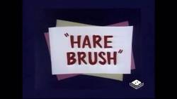 Hare Brush