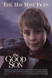 The Good Son picture