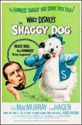 The Shaggy Dog picture