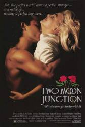 Two Moon Junction picture
