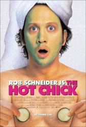 The Hot Chick picture