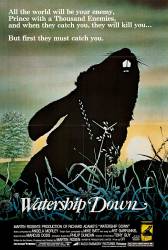 Watership Down picture