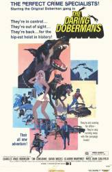 The Daring Dobermans picture
