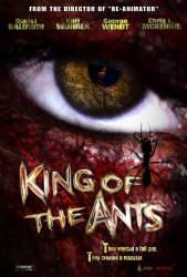 King of the Ants picture