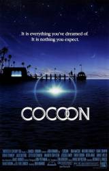 Cocoon picture