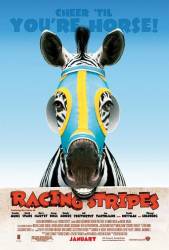Racing Stripes picture