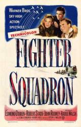 Fighter Squadron picture