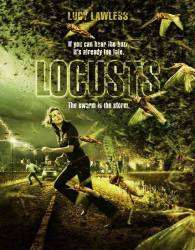 Locusts picture