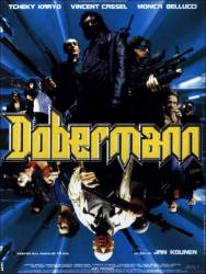 Dobermann picture