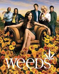 Weeds picture