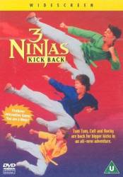 3 Ninjas Kick Back picture