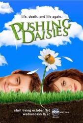 Pushing Daisies picture