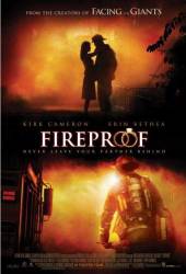Fireproof picture