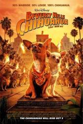 Beverly Hills Chihuahua picture