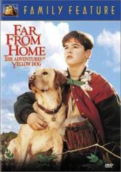 Far from Home: The Adventures of Yellow Dog picture
