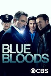 Blue Bloods picture