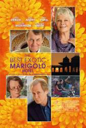 The Best Exotic Marigold Hotel picture