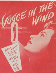 Voice in the Wind picture