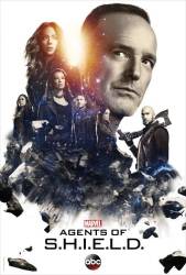 Agents of SHIELD picture