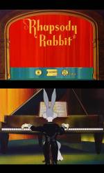 Rhapsody Rabbit picture