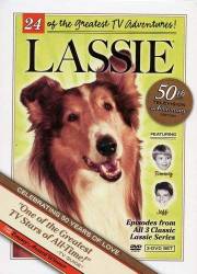 Lassie picture