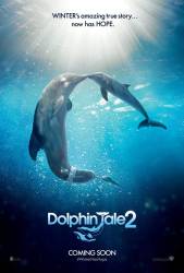 Dolphin Tale 2 picture