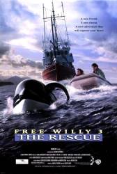 Free Willy 3: The Rescue picture