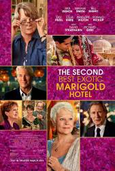 The Second Best Exotic Marigold Hotel picture