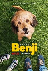 Benji picture