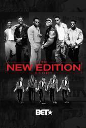 The New Edition Story picture