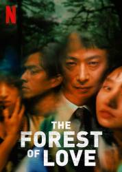 The Forest of Love picture