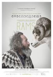 Rams picture