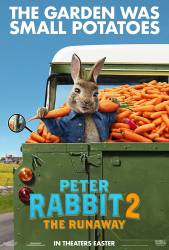 Peter Rabbit 2 picture