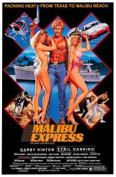 Malibu Express picture