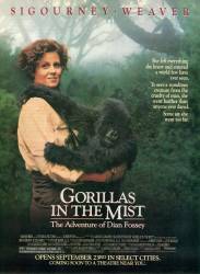 Gorillas in the Mist: The Story of Dian Fossey picture