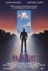 Mr. Destiny picture
