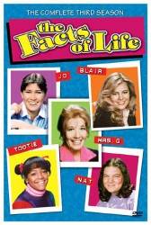 The Facts of Life picture