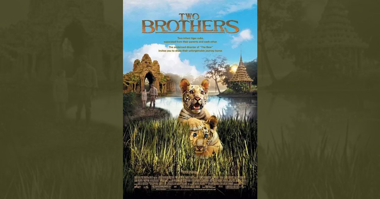 Two Brothers (2004) plot summary