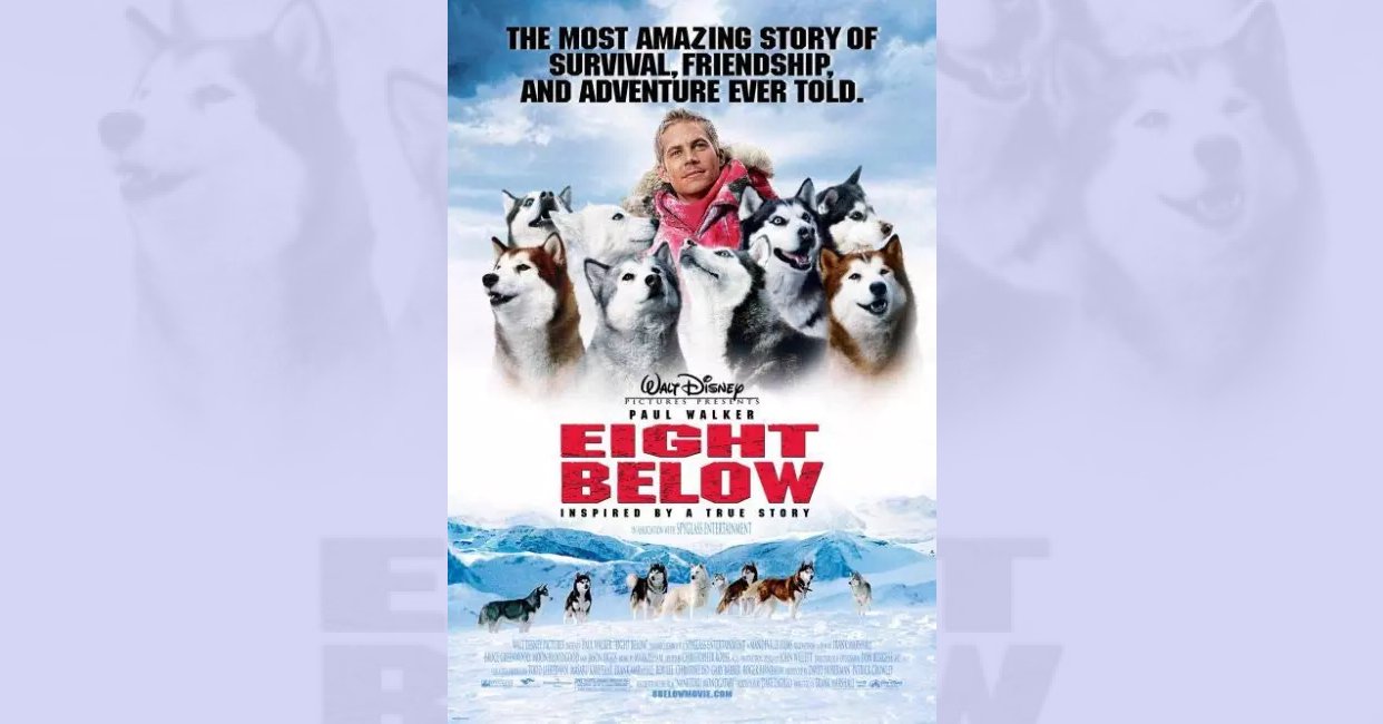 Eight Below (2006) questions and answers